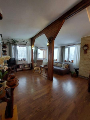 Casa Zaharia Azuga